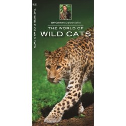 The World of Wild Cats