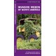 Invasive Weeds of North America: A Folding Pocket Guide to Invasive & Noxious Species