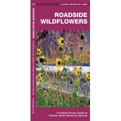 Roadside Wildflowers: A Folding Pocket Guide to Familiar North American Species