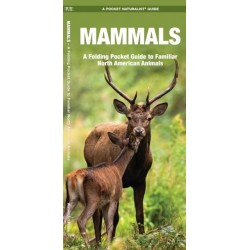 Mammals: A Folding Pocket Guide to Familiar North American Species