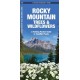 Rocky Mountain Trees & Wildflowers: A Folding Pocket Guide to Familiar Species
