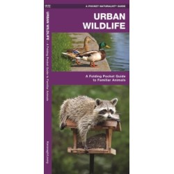 Urban Wildlife: A Folding Pocket Guide to Familiar Species