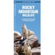 Rocky Mountain Wildlife: A Folding Pocket Guide to Familiar Species