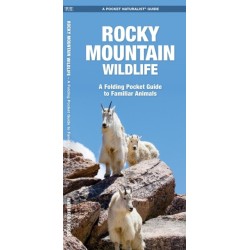 Rocky Mountain Wildlife: A Folding Pocket Guide to Familiar Species