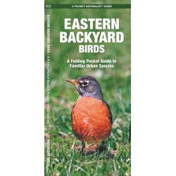 Eastern Backyard Birds: A Folding Pocket Guide to Familiar Urban Species
