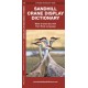Sandhill Crane Display Dictionary: What Cranes Say With Their Body Language