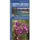 Sierra Nevada Trees & Wildflowers: A Folding Pocket Guide to Familiar Species of the Montane Forest Region