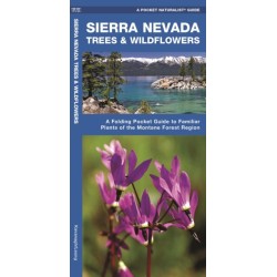 Sierra Nevada Trees & Wildflowers: A Folding Pocket Guide to Familiar Species of the Montane Forest Region