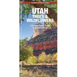 Utah Trees & Wildflowers: A Folding Pocket Guide to Familiar Species