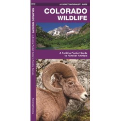 Colorado Wildlife: A Folding Pocket Guide to Familiar Animals