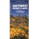 Southwestern Desert Plants: A Folding Pocket Guide to Familiar Species