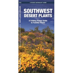 Southwestern Desert Plants: A Folding Pocket Guide to Familiar Species
