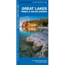 Great Lakes Trees & Wildflowers: A Folding Pocket Guide to Familiar Species