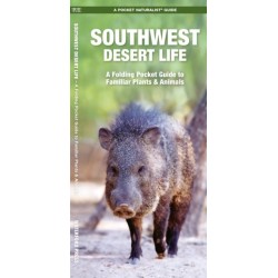 Southwestern Desert Life: A Folding Pocket Guide to Familiar Plants & Animals