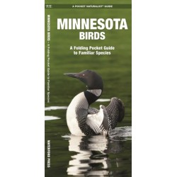 Minnesota Birds: A Folding Pocket Guide to Familiar Species