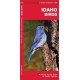 Idaho Birds: A Folding Pocket Guide to Familiar Species