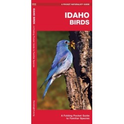 Idaho Birds: A Folding Pocket Guide to Familiar Species