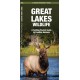 Great Lakes Wildlife: A Folding Pocket Guide to Familiar Species