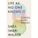 Life As No One Knows It: The Physics of Life's Emergence