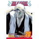 Bleach, Vol. 20: End of Hypnosis