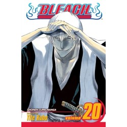 Bleach, Vol. 20: End of Hypnosis