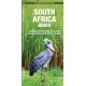 South Africa Birds: A Folding Pocket Guide to Familiar Species