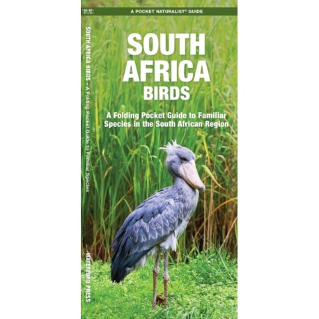 South Africa Birds: A Folding Pocket Guide to Familiar Species