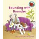 Bounding with Bounder
