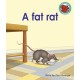 A fat rat