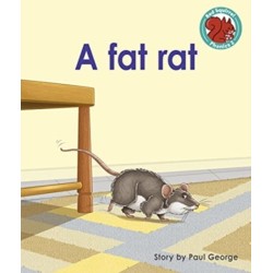 A fat rat