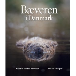 Bæveren i Danmark