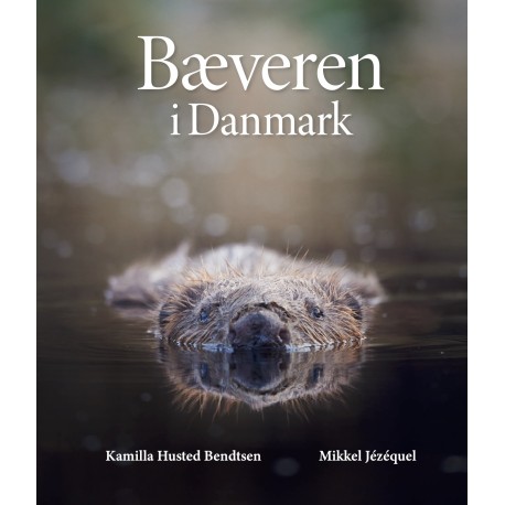 Bæveren i Danmark