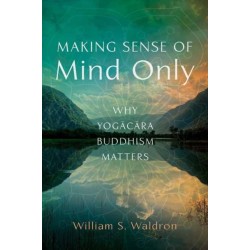 Making Sense of Mind Only: Why Yogacara Buddhism Matters