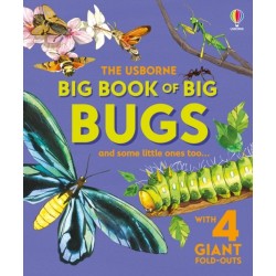 Big Book of Big Bugs