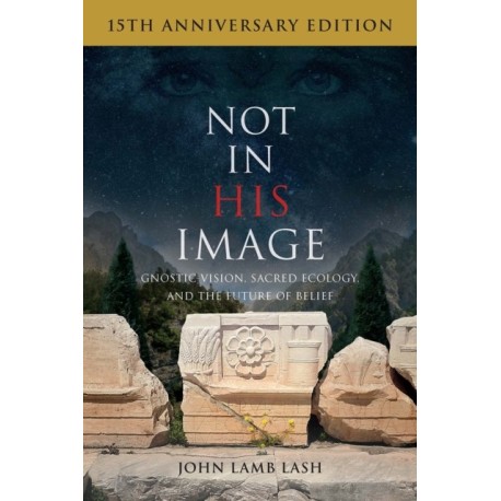 Not in His Image (15th Anniversary Edition): Gnostic Vision, Sacred Ecology, and the Future of Belief
