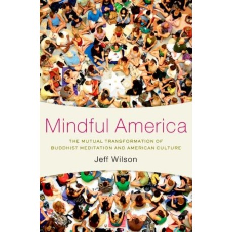 Mindful America: The Mutual Transformation of Buddhism Meditation and American Culture