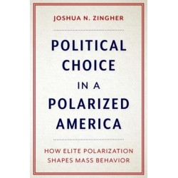 Political Choice in a Polarized America: How Elite Polarization Shapes Mass Behavior