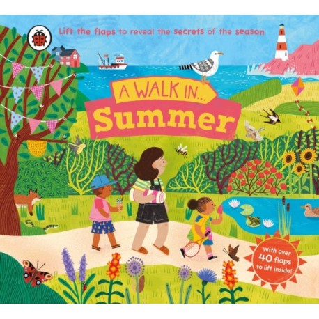 A Walk in Summer: Lift the flaps to reveal the secrets of the season
