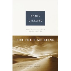 For the Time Being: Essays (PEN Literary Award Winner)