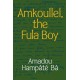 Amkoullel, the Fula Boy