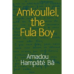 Amkoullel, the Fula Boy