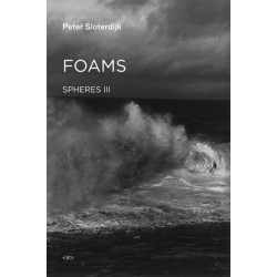 Foams: Spheres Volume III: Plural Spherology