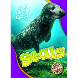 Seals