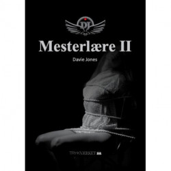 Mesterlære II