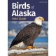 Birds of Alaska Field Guide
