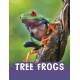Tree Frogs