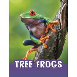 Tree Frogs