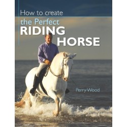 How to Create the Perfect Riding Horse