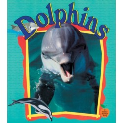 Dolphins