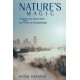 Nature's Magic: Synergy in Evolution and the Fate of Humankind